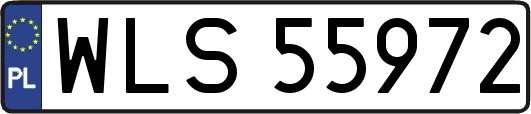 WLS55972