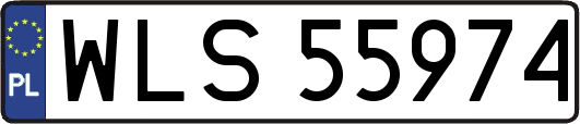 WLS55974