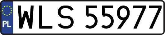 WLS55977