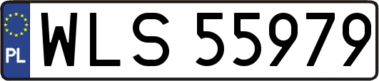 WLS55979