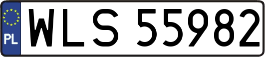 WLS55982