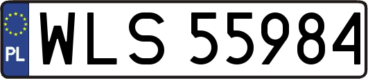 WLS55984