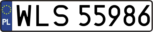 WLS55986