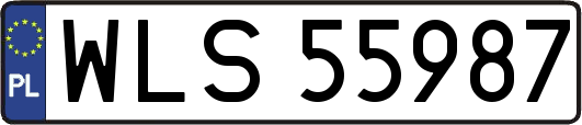 WLS55987