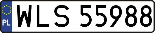 WLS55988
