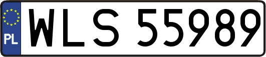 WLS55989
