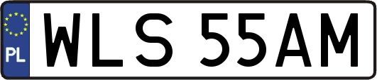 WLS55AM