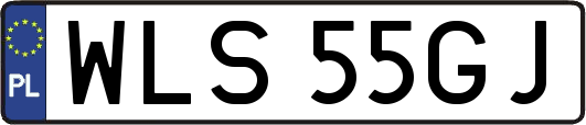 WLS55GJ