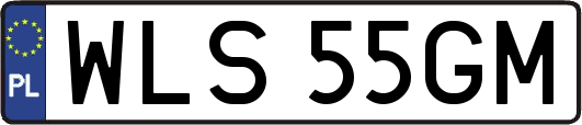 WLS55GM