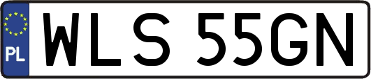 WLS55GN