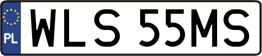 WLS55MS