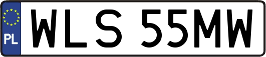 WLS55MW