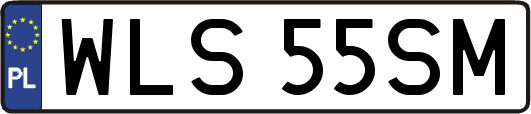 WLS55SM