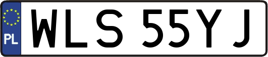 WLS55YJ