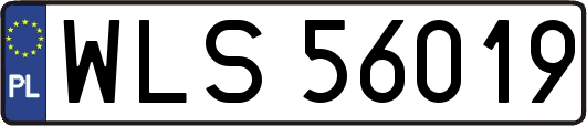 WLS56019