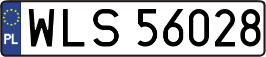 WLS56028