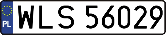 WLS56029