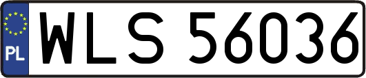 WLS56036