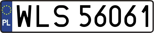 WLS56061