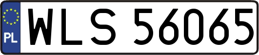 WLS56065