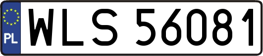 WLS56081