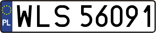 WLS56091