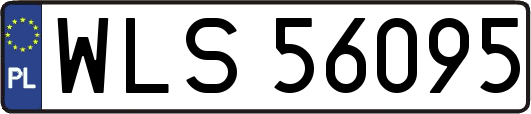 WLS56095