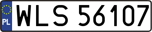 WLS56107