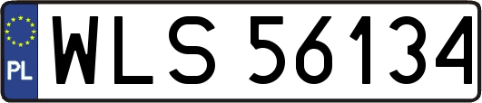 WLS56134