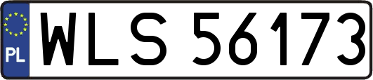 WLS56173