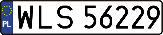 WLS56229