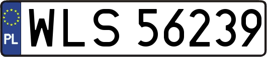 WLS56239