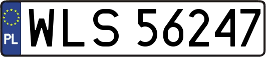 WLS56247