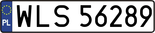 WLS56289