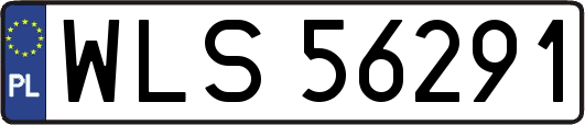 WLS56291