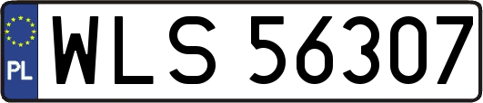 WLS56307