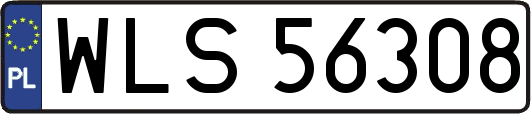 WLS56308