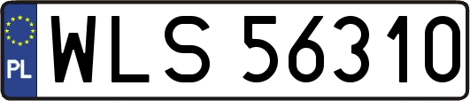WLS56310