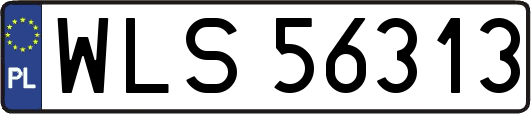 WLS56313
