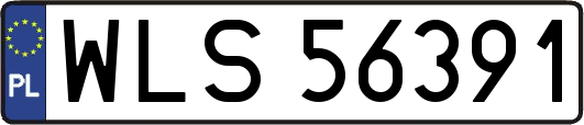 WLS56391