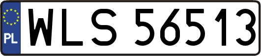 WLS56513