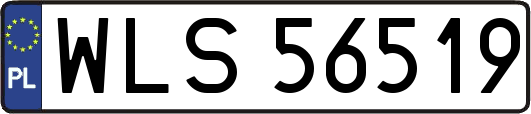 WLS56519