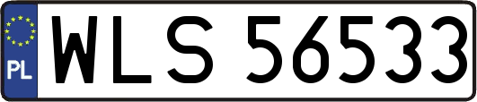WLS56533