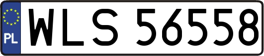 WLS56558