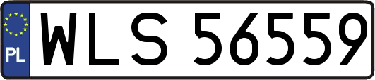WLS56559