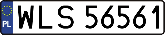 WLS56561