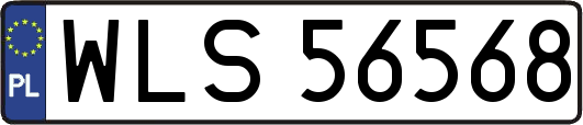 WLS56568