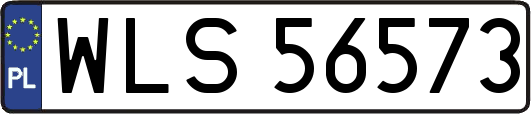WLS56573