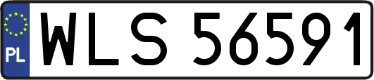 WLS56591
