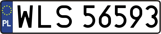 WLS56593